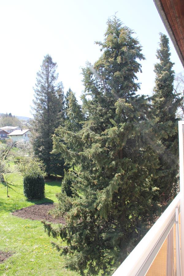 Hotel Restaurant Le Panorama Neuvecelle ภายนอก รูปภาพ
